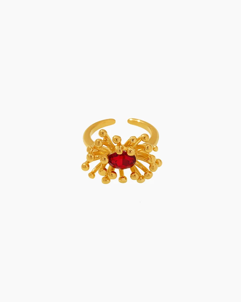 red ring | HALO IN STYLE